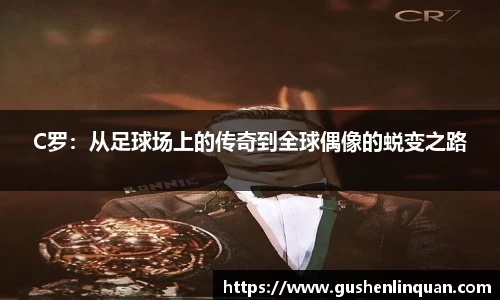 完美体育365官方网站